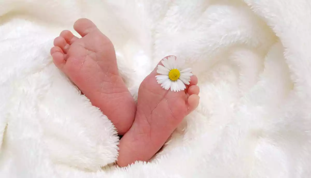 مراقبت از پاهای کوچک نوزاد [از بدو تولد تا اولین قدم‌ ها]